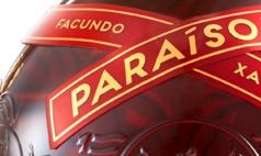 Duffy_Facundo_HP_Paraiso